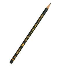 مداد لاک پشت ایرانی